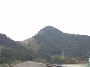ゴリラ山 ゴリラ山
