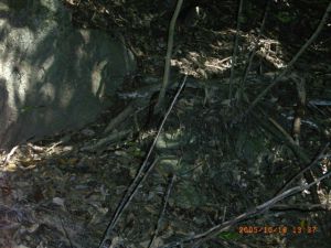 わかるかな 山の危険動物 わかるかな 山の危険動物