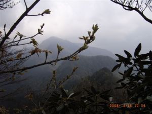 鷹ノ巣山三の岳山頂からの眺め