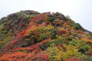 小鍋縁の紅葉