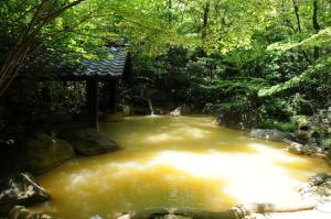 野趣豊かな新清館の露天風呂