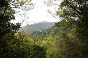 山頂から英彦山方面を望む