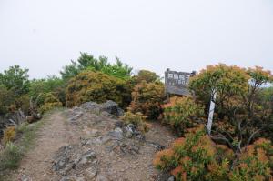 迎烏帽子山山頂