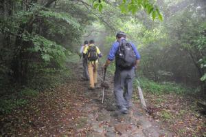 気持ちのいい登山道