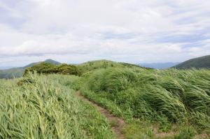 合頭山へ