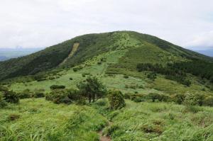 猟師山への気持ちのいい道