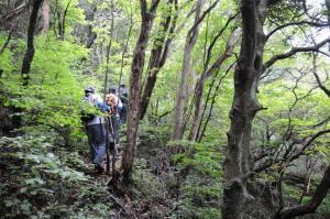 指山への登り