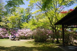 つつじ園